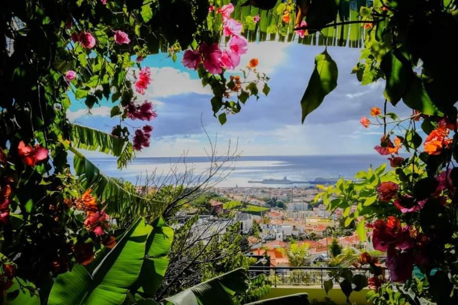 Granny'S House View Vila Funchal  Exterior foto